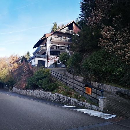 فيلا Haus Schwarzwaldblick هورنبرغ المظهر الخارجي الصورة