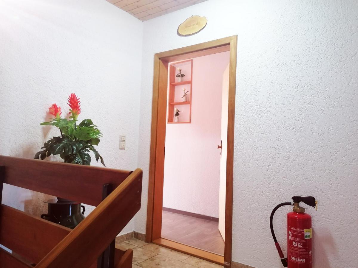 فيلا Haus Schwarzwaldblick هورنبرغ المظهر الخارجي الصورة