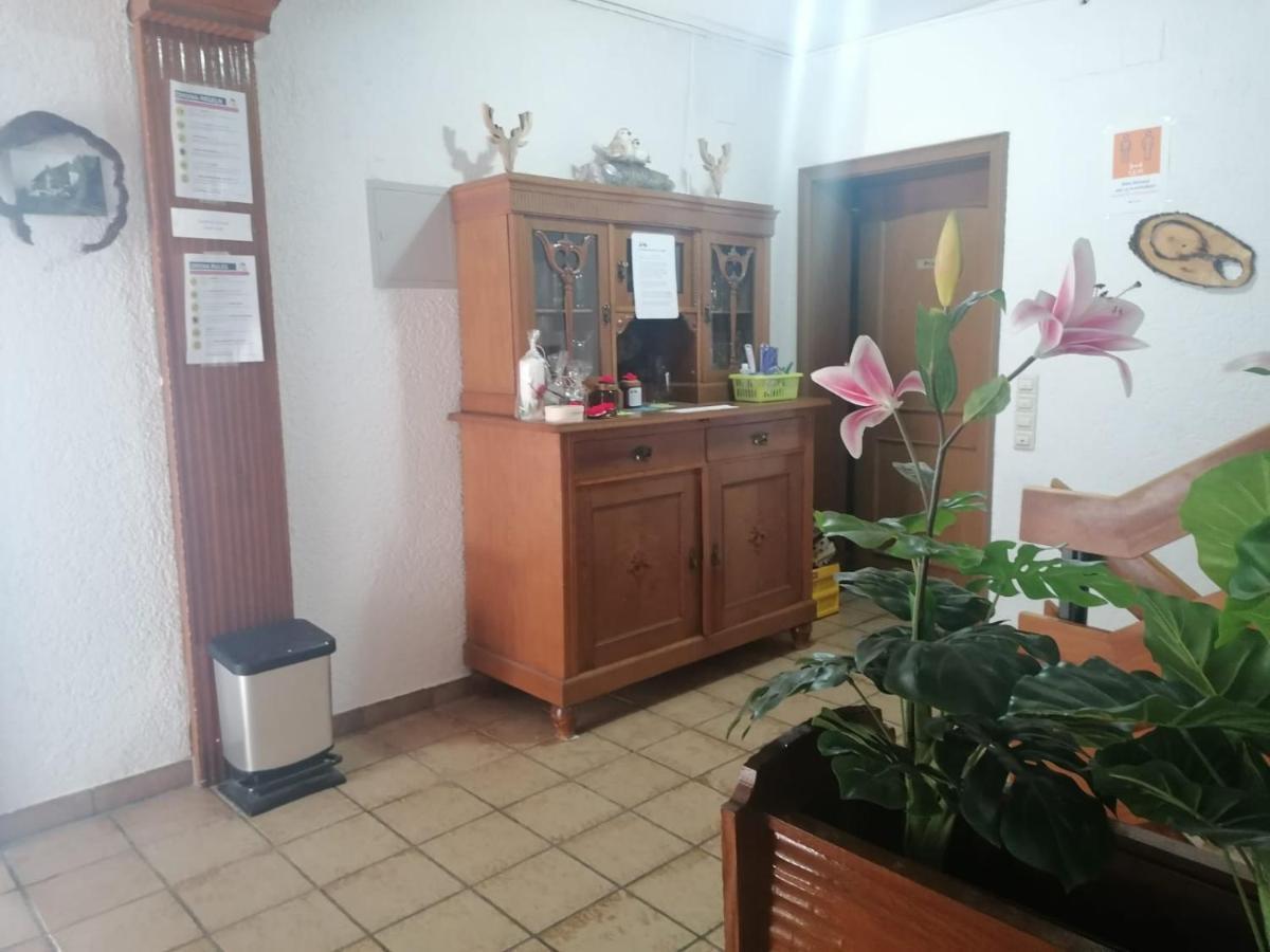 فيلا Haus Schwarzwaldblick هورنبرغ المظهر الخارجي الصورة